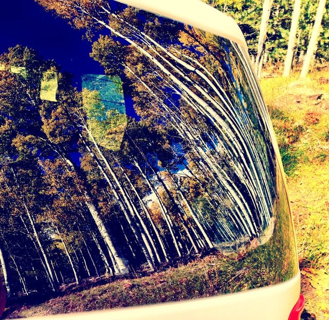 Fall rollin