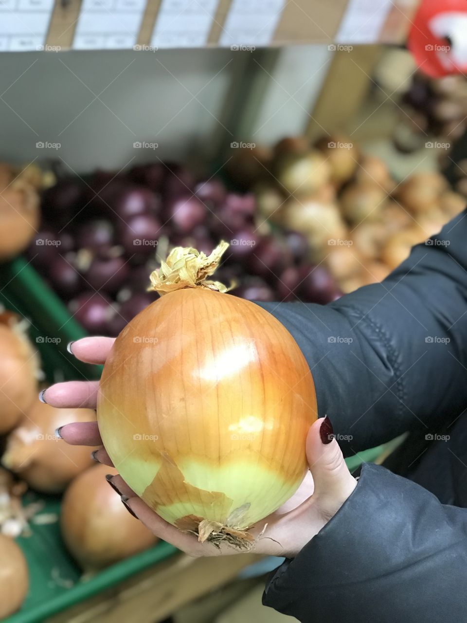 Picture of a large onion