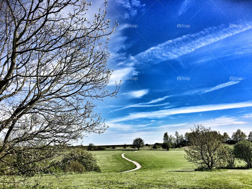 landscape