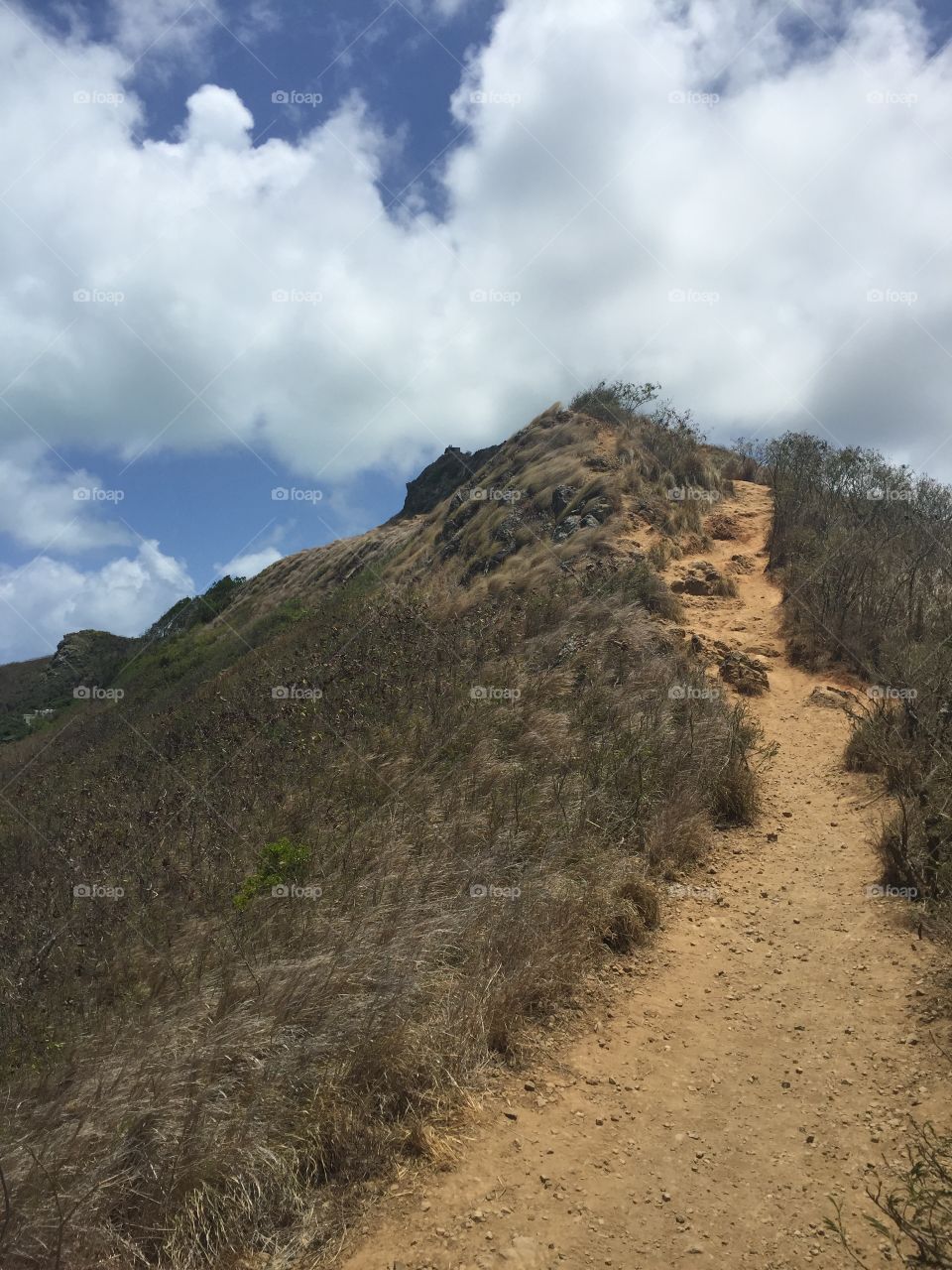 Hawaii hiking trail