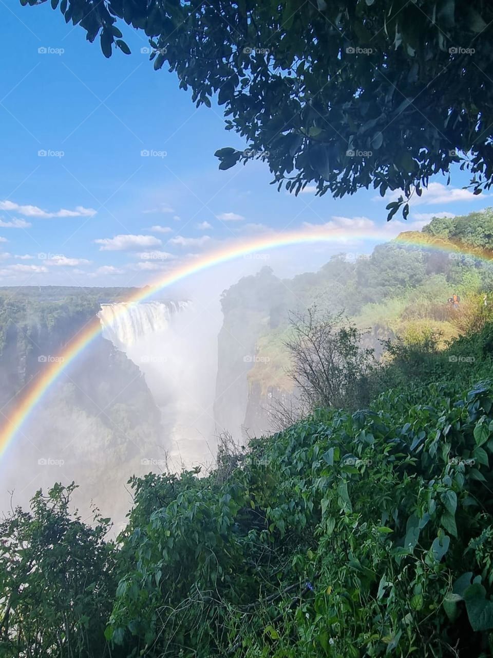 Spectacular sight of rainbow at Victoria Fall Zimbabwe