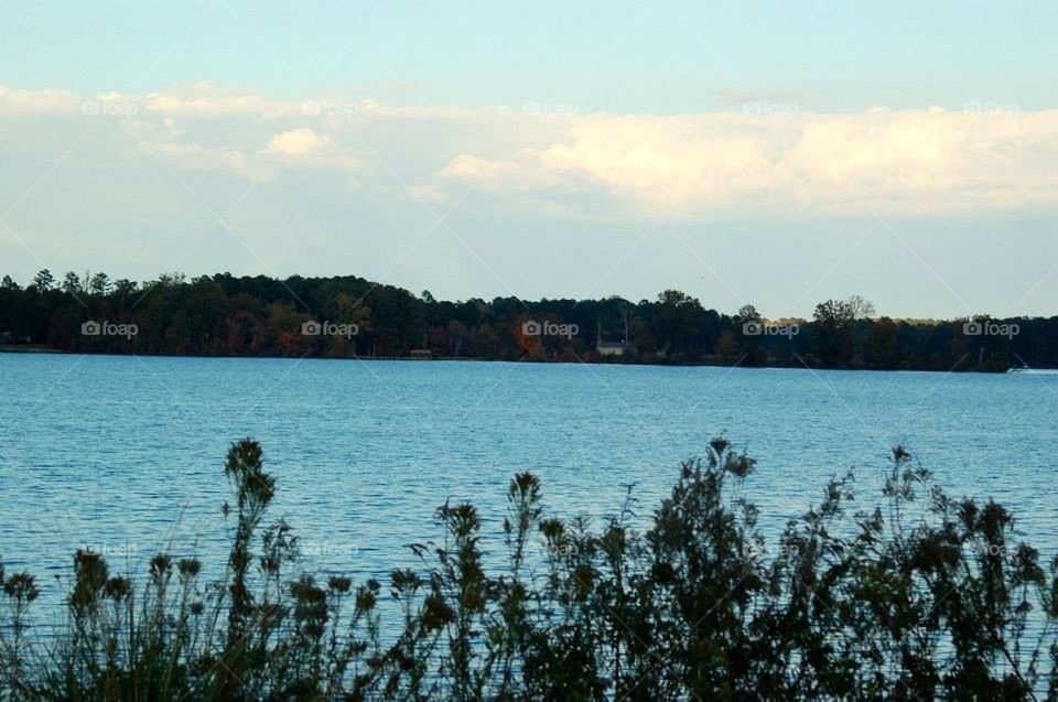 The lake