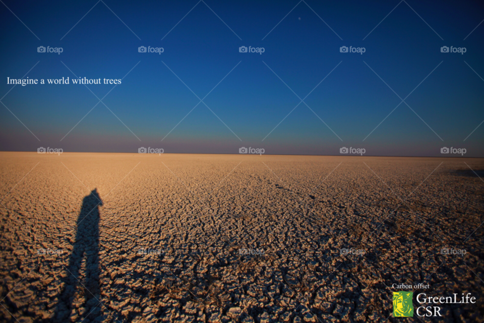 nature solitude namibia deforestation by hoslo