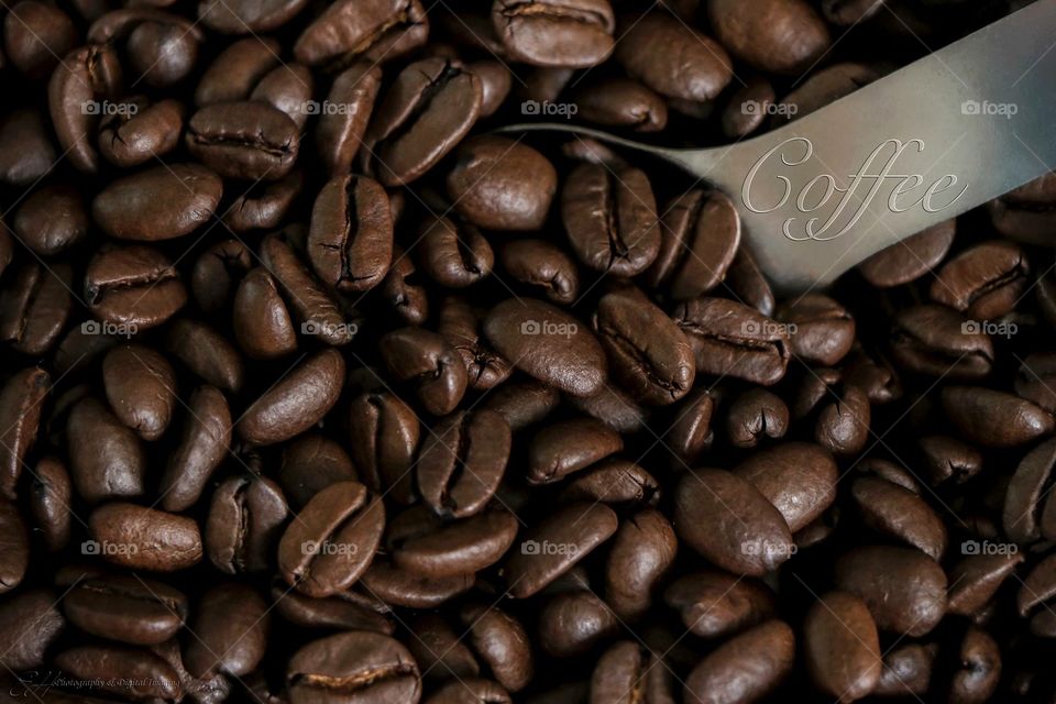 Coffee Beans