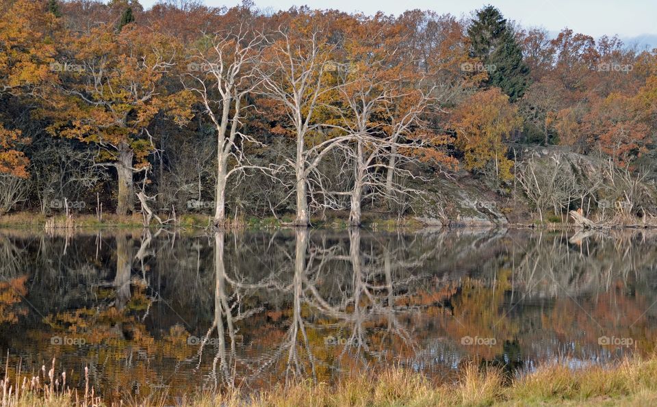 Reflections on Kvalmsö, Ronneby Sweden