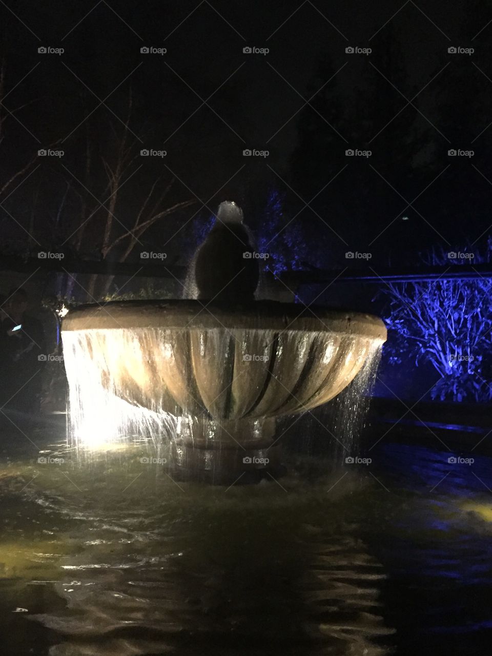 Fountain in Light 