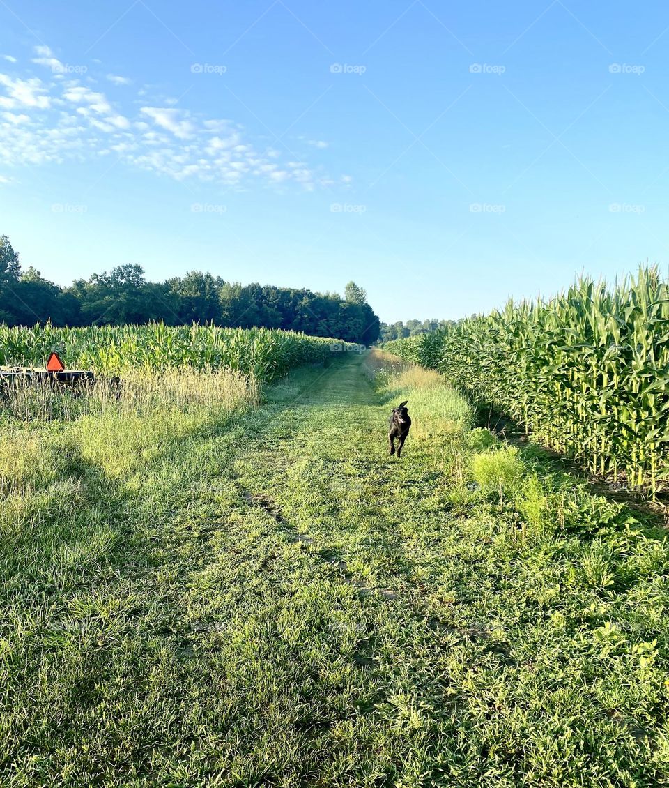Running Through Wide Open Spaces
