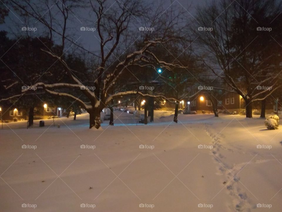 Winter, Snow, Landscape, Tree, Weather