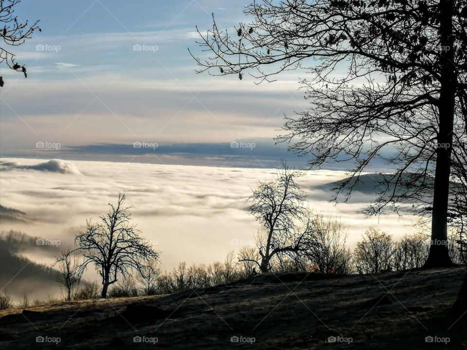 View from the top of the mountain
