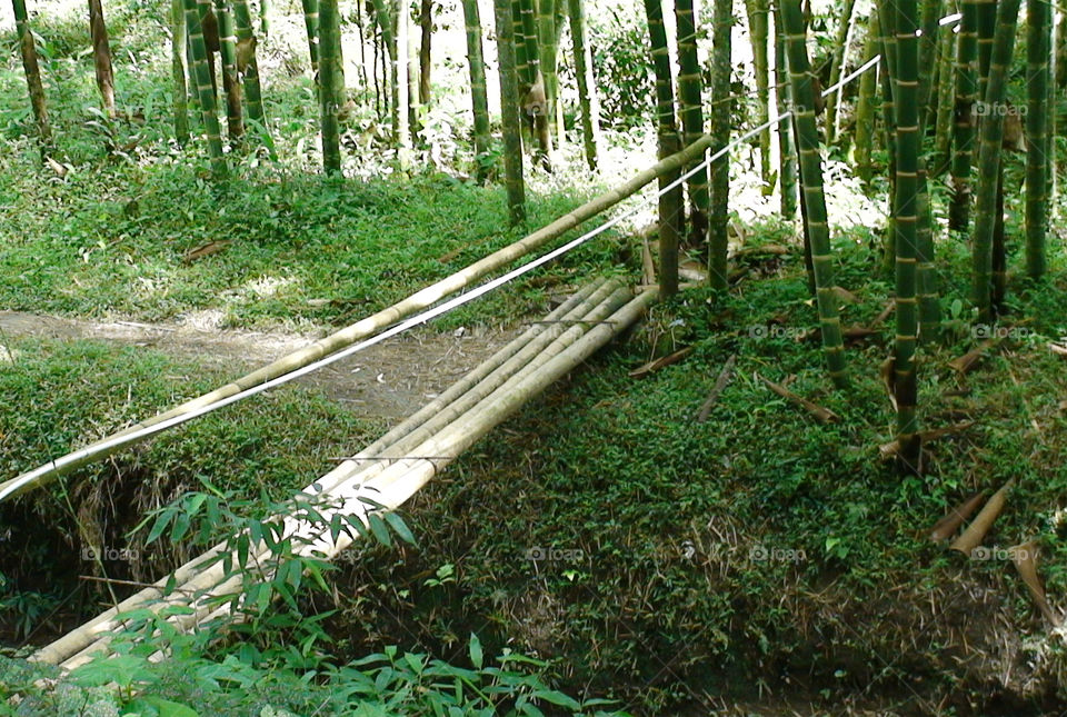 Rustic bridge 