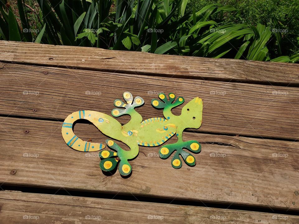 I guess the strong winds blew my lizard down so I set it down on the porch for now.