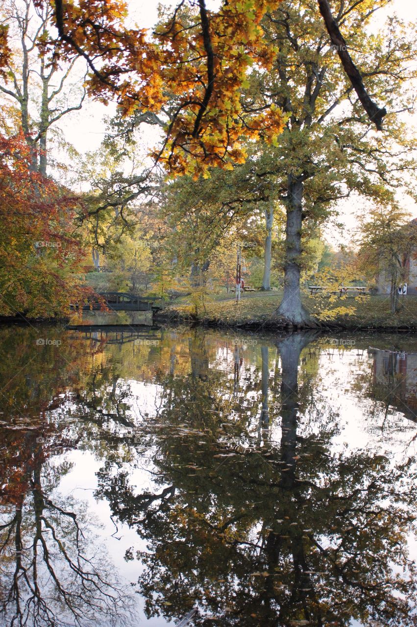 Autumn reflection 