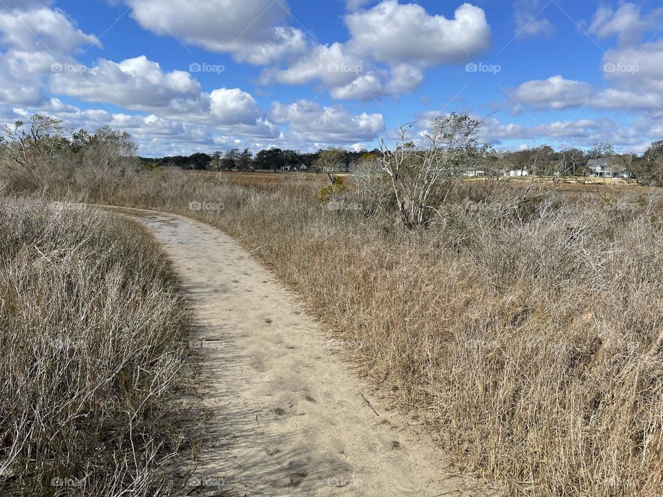 Sandy Path