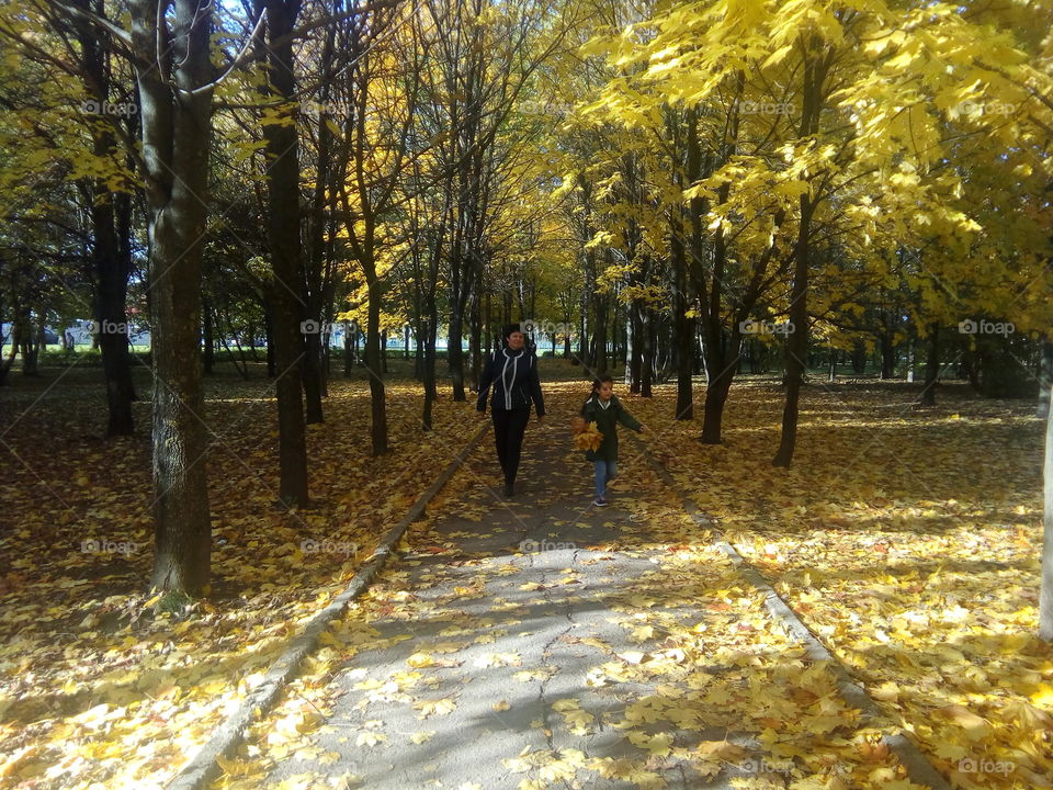 прогулка среди опавшей листвы