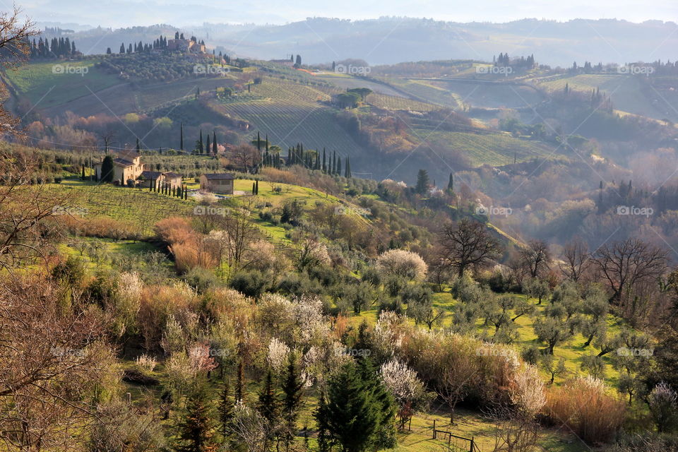 spring in Tuscany
