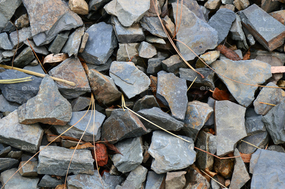 rocks