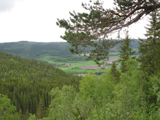 Nature