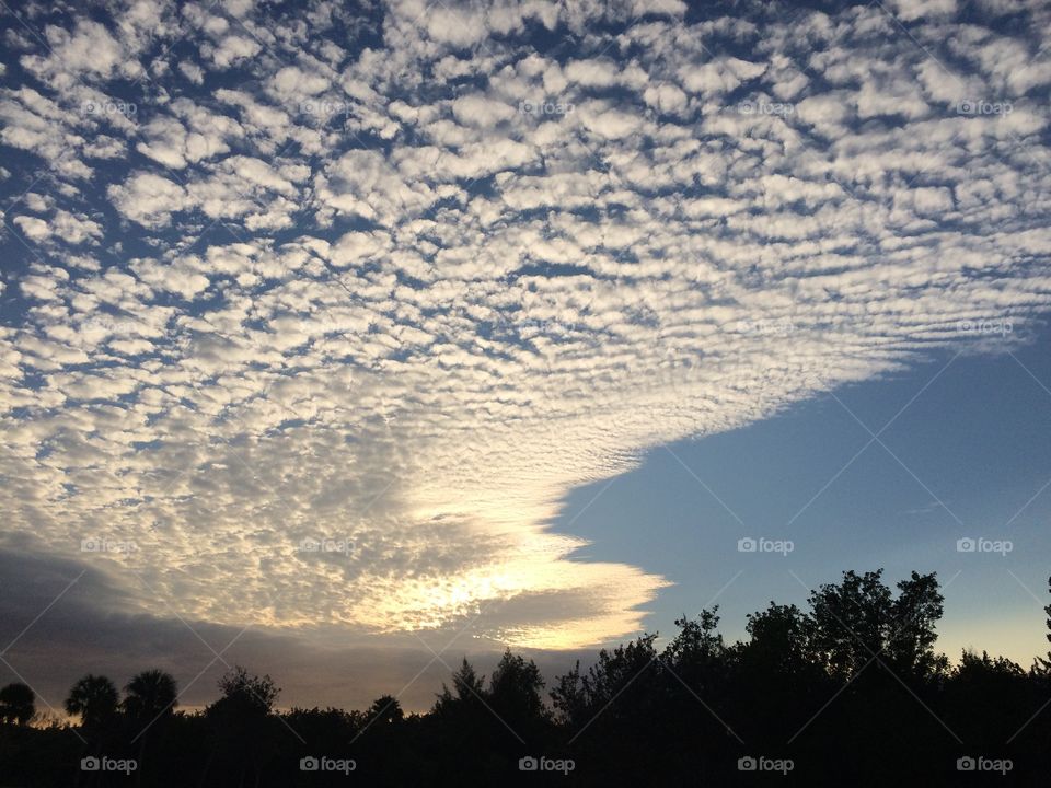 Cloud formation over Florida everglades