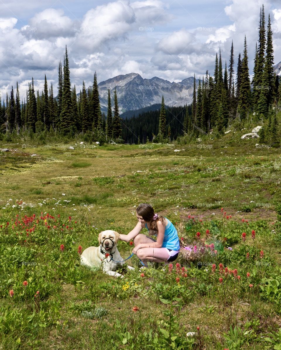 Taking a break among wild flowers, grasses, trees and mountain splendours