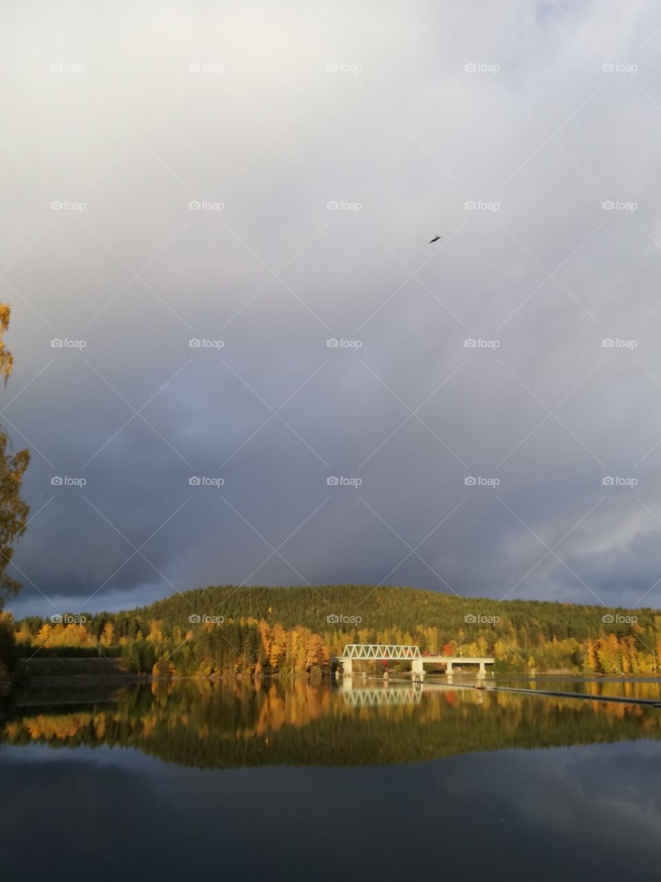 A beautiful multicoloured landscape under the dark grey and blue clouds. The bright blue sky is seen a little and the sun makes reflections of the forest and the white railroad bridge on the calm lake.