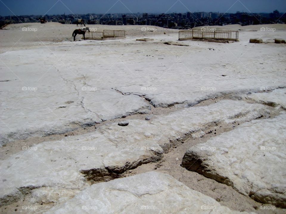 Giza. Excavating