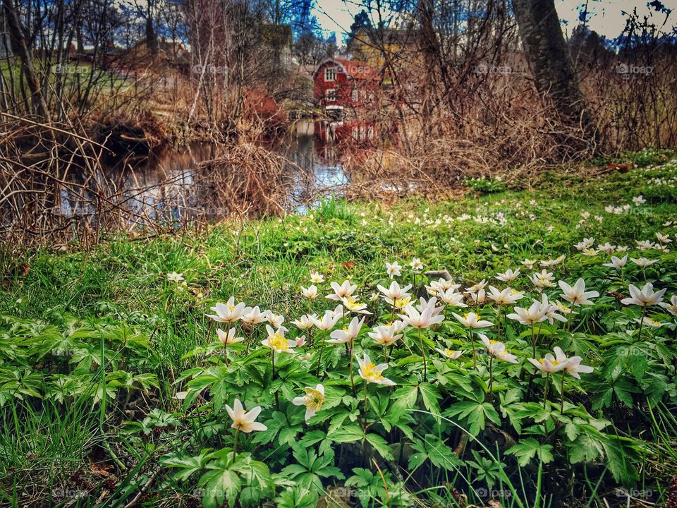 Spring in Dalarna
