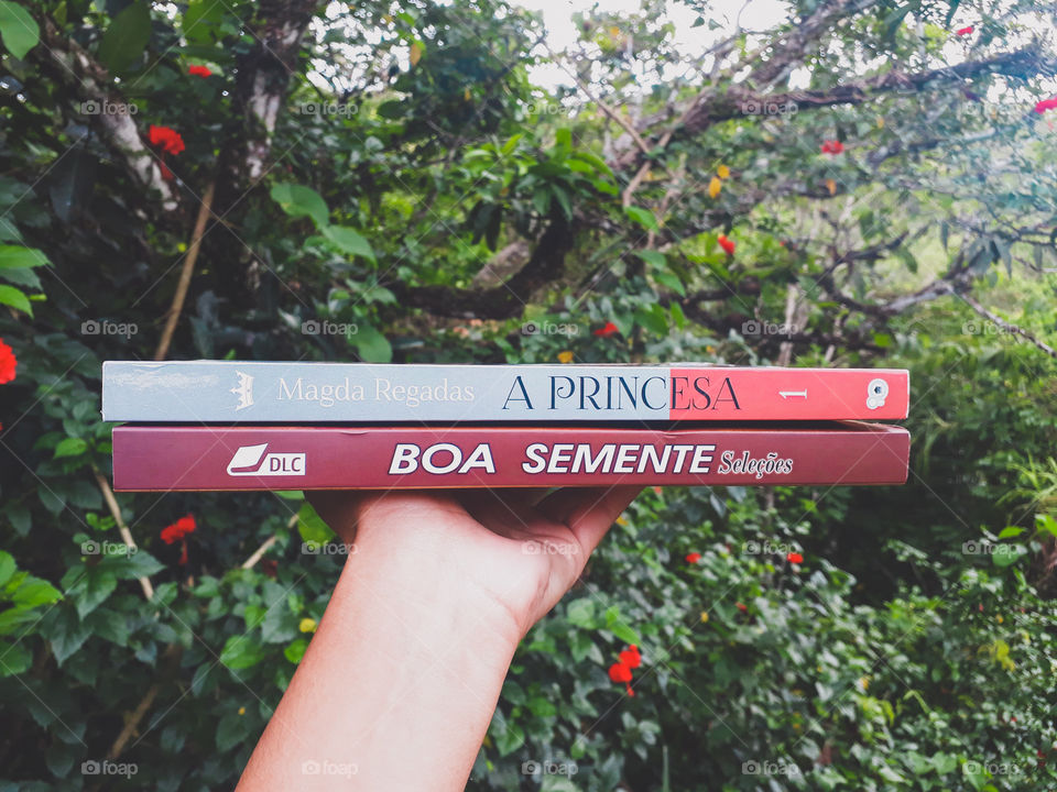 Livros A Princesa e Devocional Boa Semente
