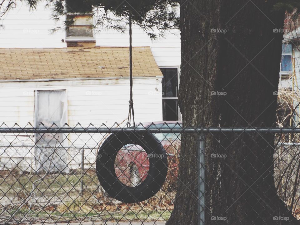 Tire swing in the back yard