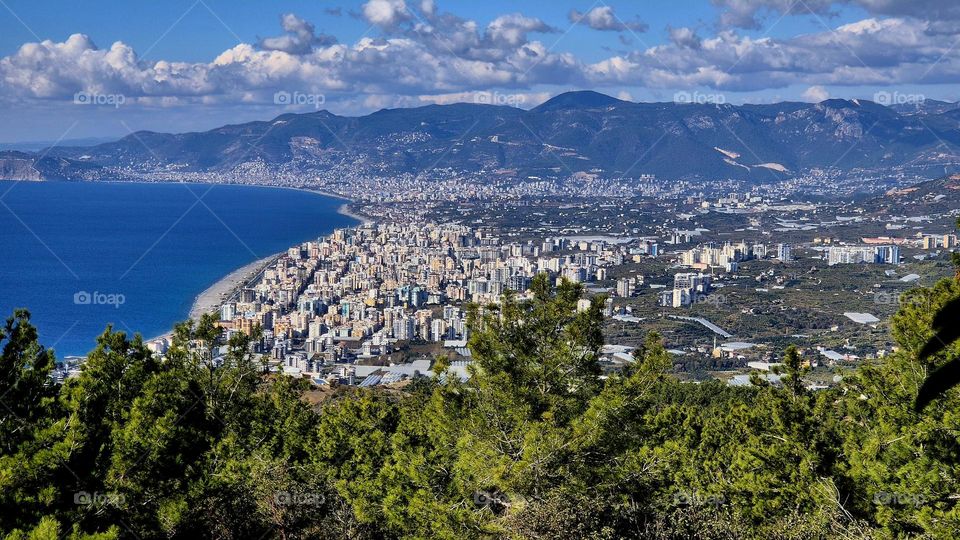 "The Sapphire Coast"