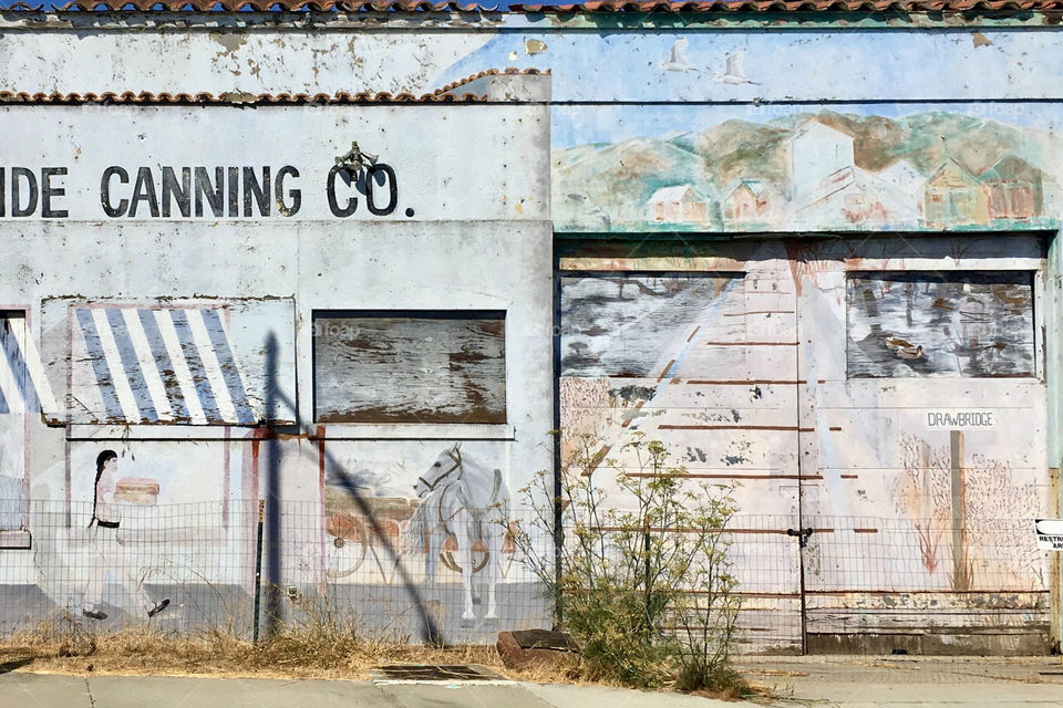 A wall of an abandoned canning building in California 