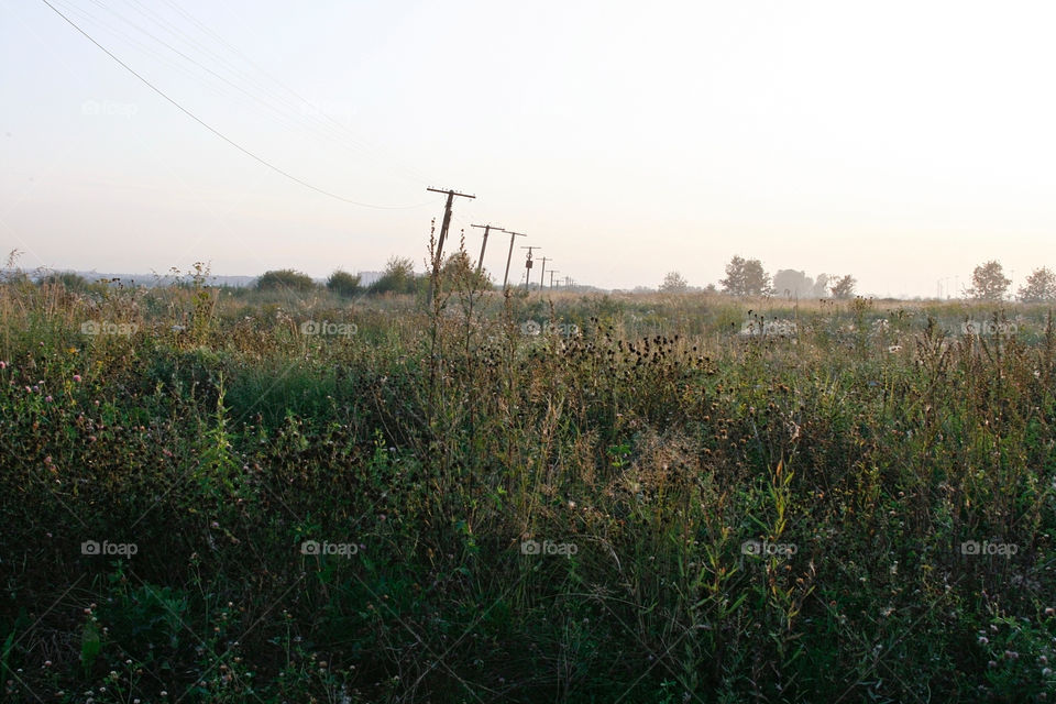 Countryside 