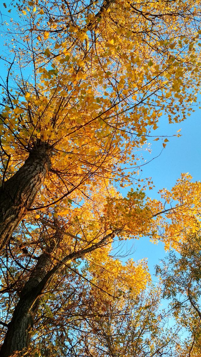 Bright autumn day