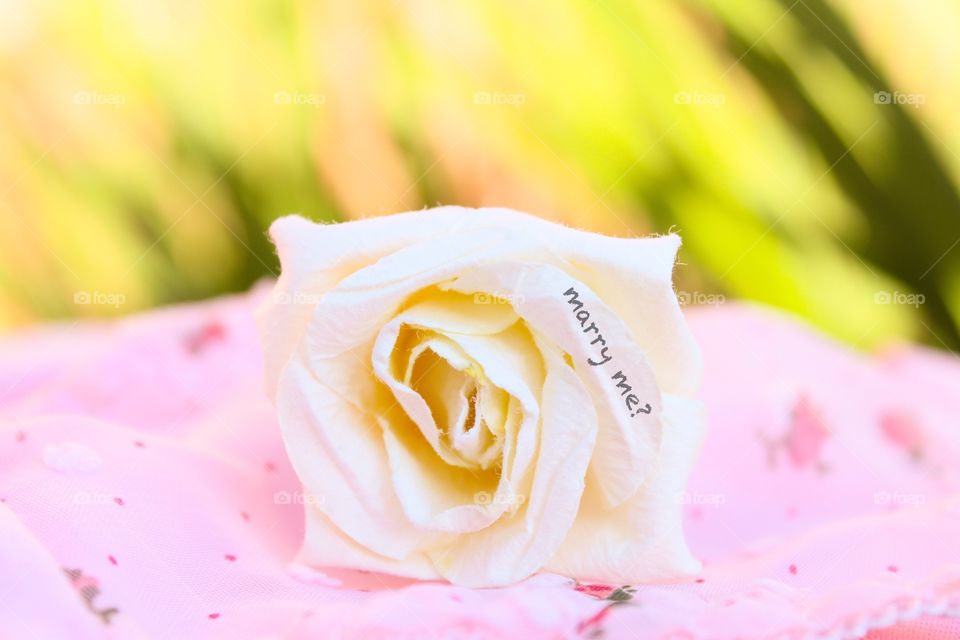 Flower, Rose, Love, Wedding, Romantic