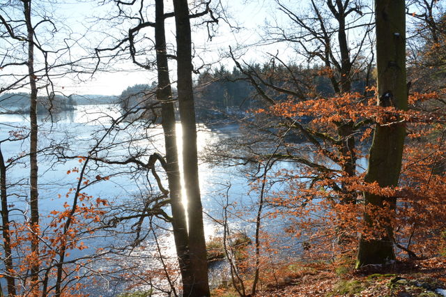Fåglasjön
