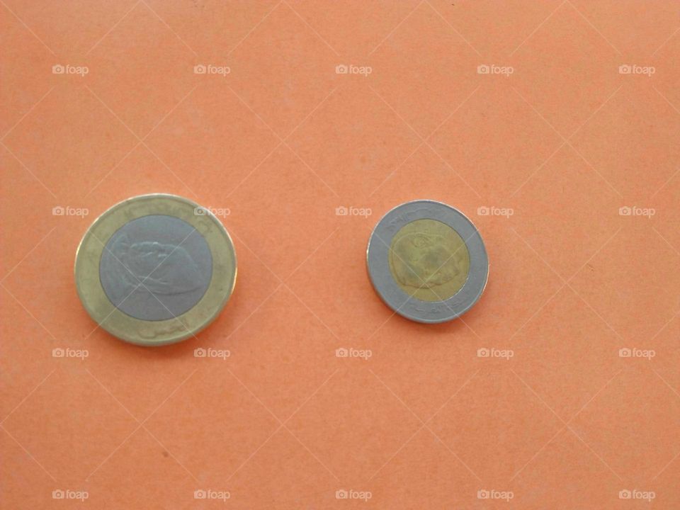 Circle moroccan money