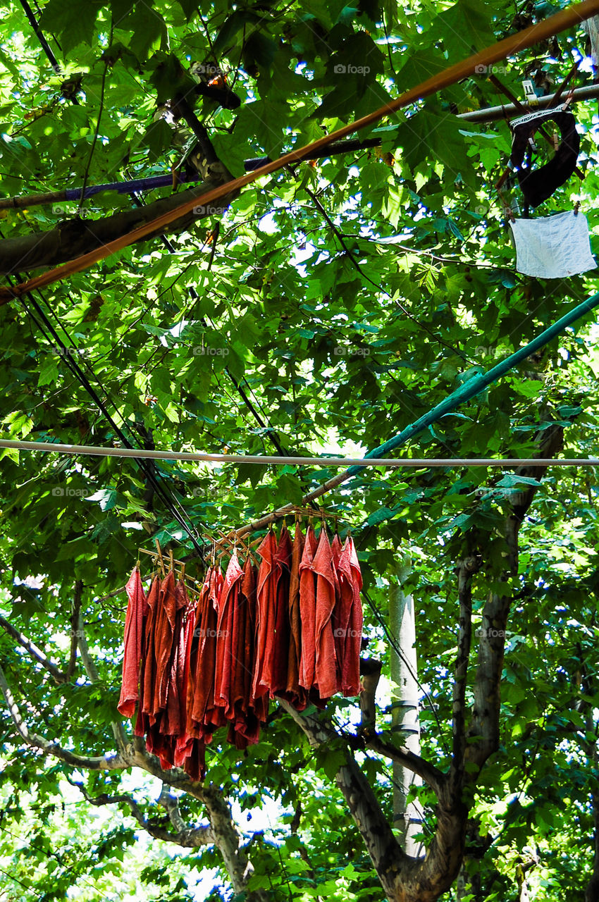 Drying clothes