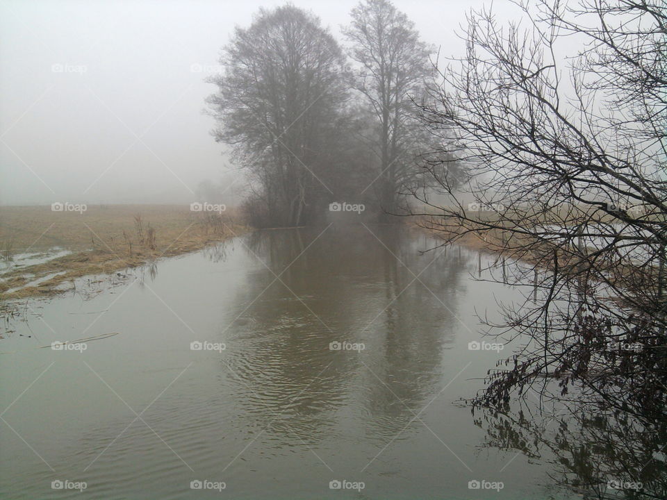Fog, Winter, Landscape, Dawn, Weather
