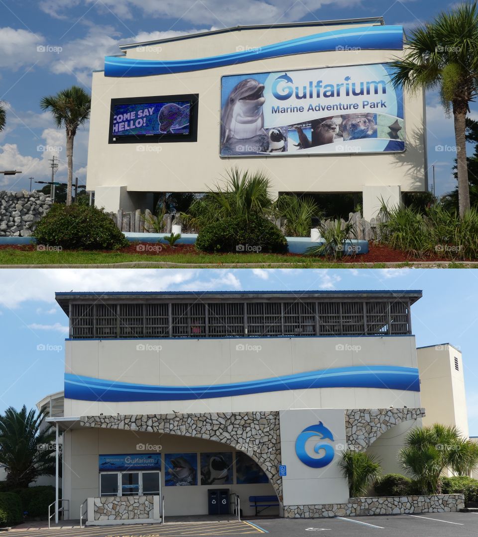 Your Local Treasure- The Gulfarium is the top Fort Walton Beach attraction and venue for enjoying daily shows, animal chats,animal exhibits, and interactive animal encounters including dolphins, sea lions, stingrays, and other marine life.