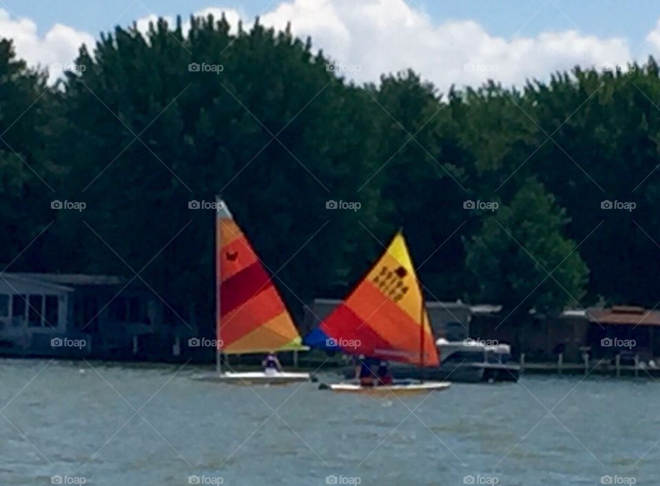 Sunfish Sailboats 