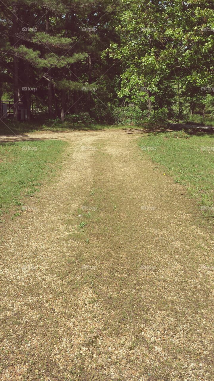 Dirt Road. Country living