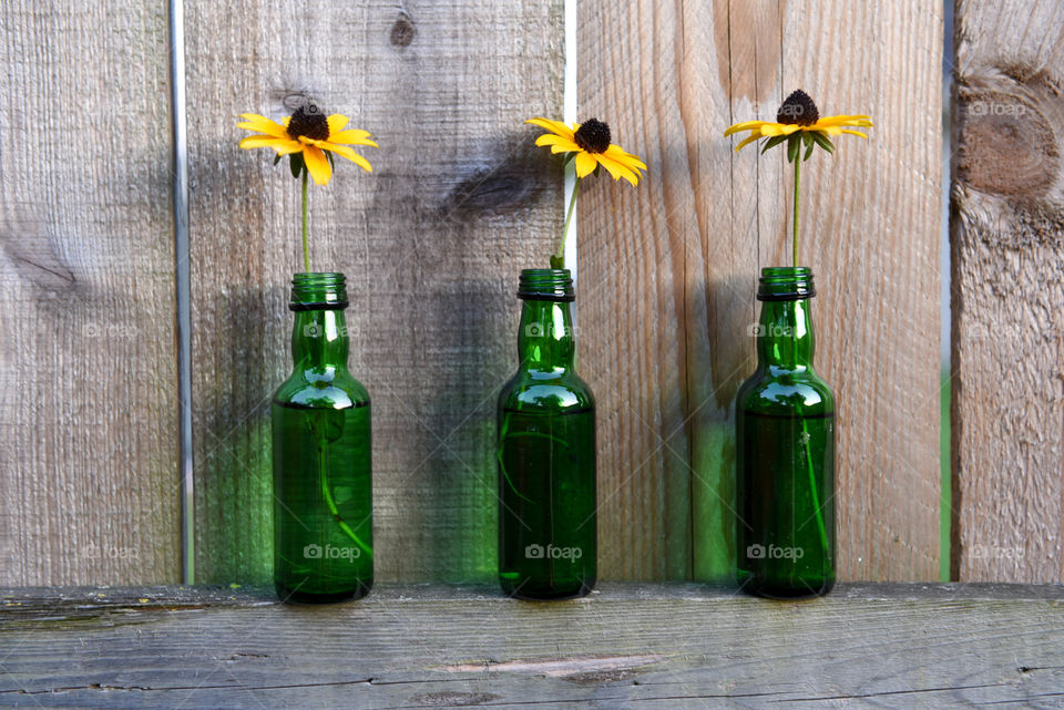 Row of three small recycled glass bottles used as a vase to hold individual black eye susan flowers