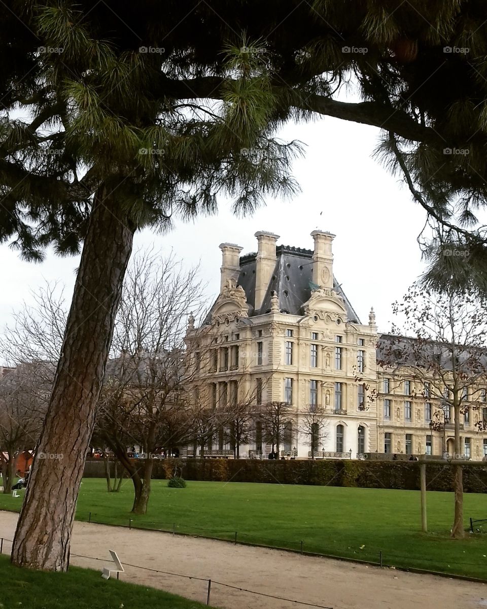 louvre. Paris. Vacation. Jardin des Tuileries