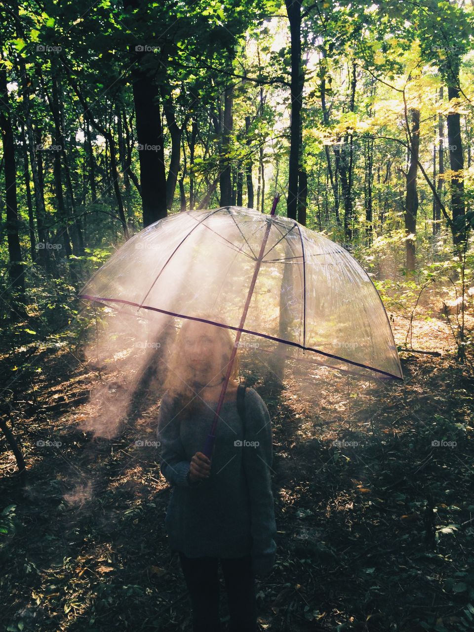 Umbrella shining 