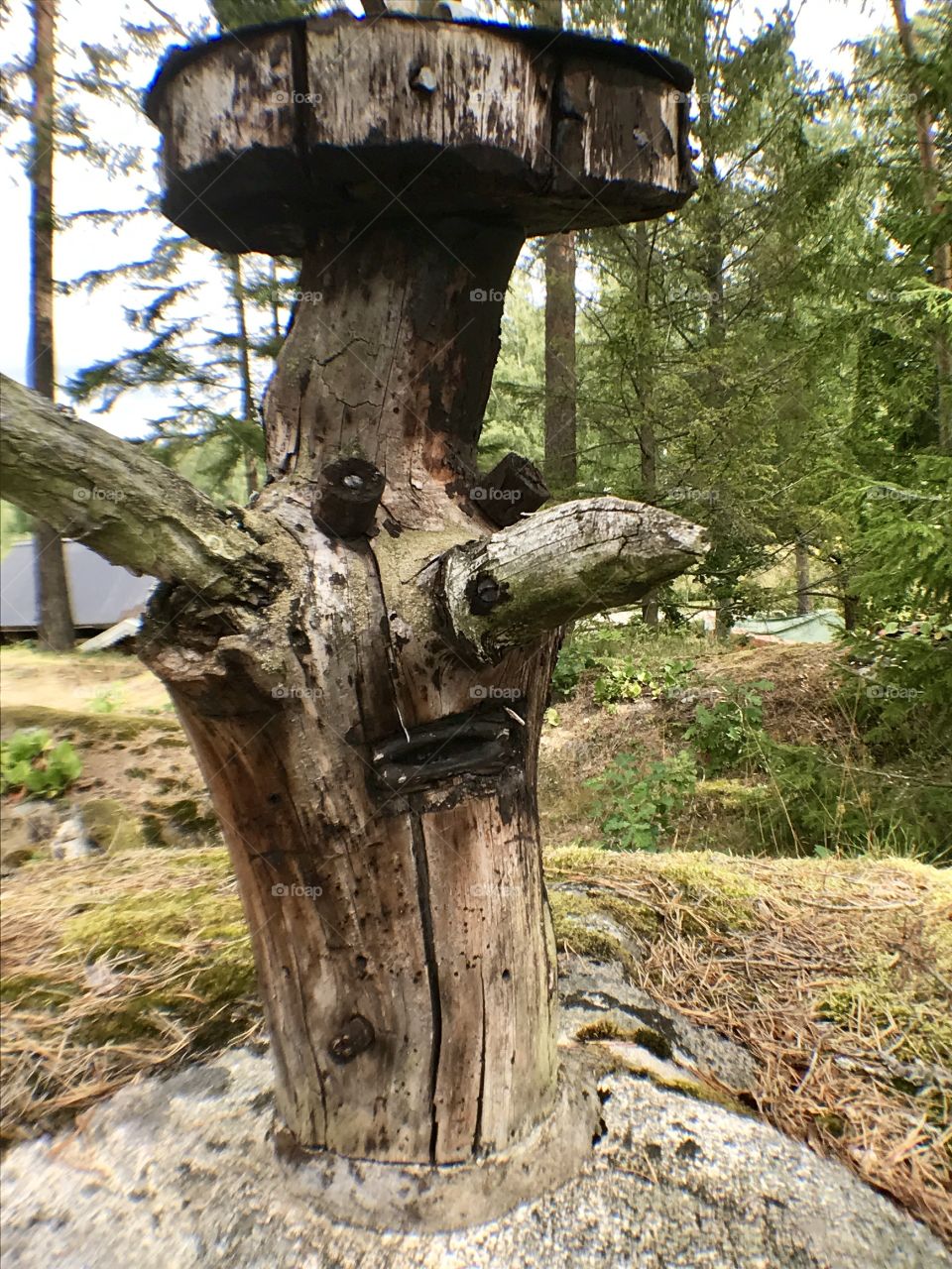 Troll carved into a tree