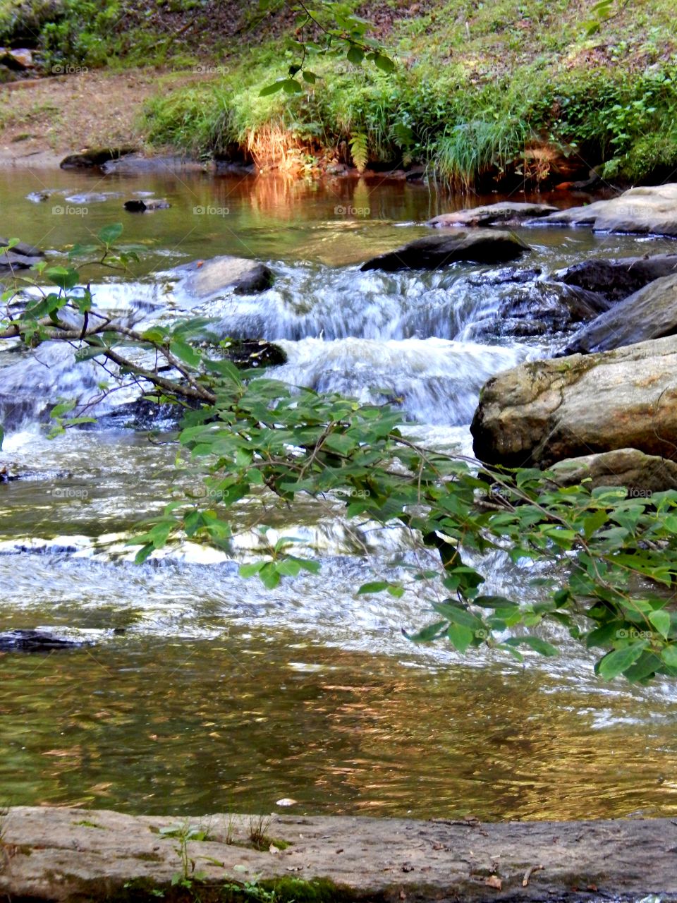 Cascading creek in Victoria Bryant state park, Georgia