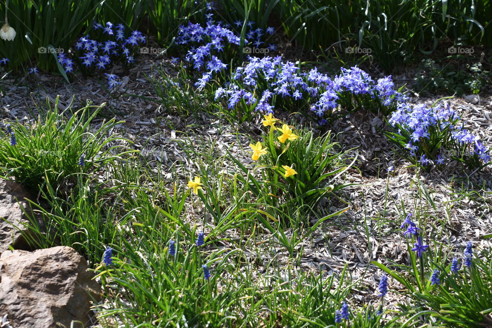 Easter flower garden