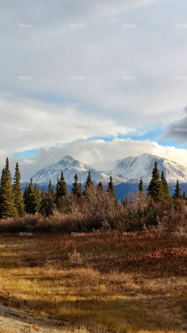 Amber colors of the late fall tundra give way to the new fallen snow gracing the Yukon Mountains of Canada.