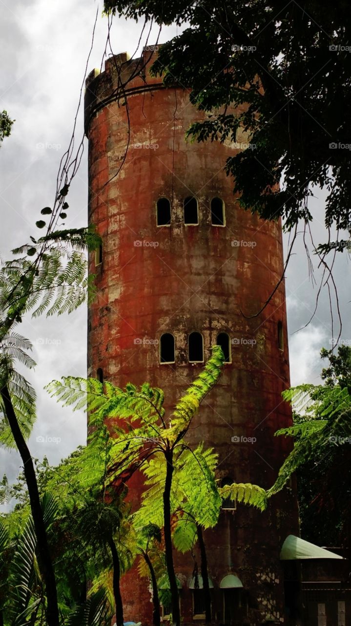 El Yunque observation tower..San Juan
