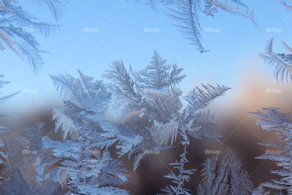 Beautiful formed ice on window