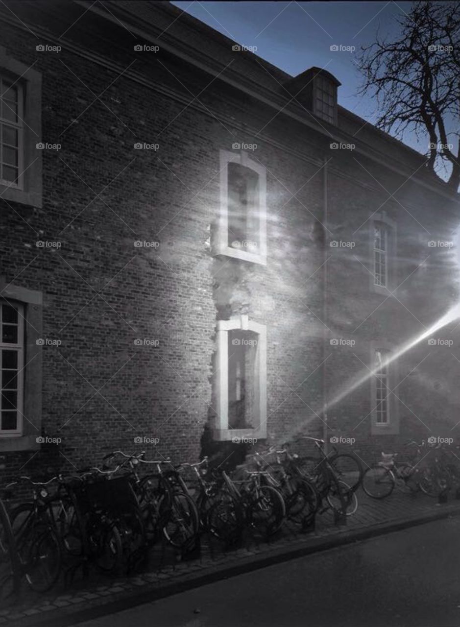 Light window bicycle architecture